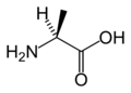 L-Alanin (Ala / A)