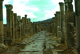 Le cardo maximus près du marché.