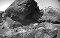 This close-up image of Shark, in the Bookshelf at the back of the Rock Garden, was taken by Sojourner Rover on Sol 75. Also in the image are Half Dome (right) and Desert Princess (lower right). At the bottom left, a thin "crusty" soil layer has been disturbed by the rover wheels. Mars Pathfinder is the second in NASA's Discovery program of low-cost spacecraft with highly focused science goals. The Jet Propulsion Laboratory, Pasadena, CA, developed and manages the Mars Pathfinder mission for NASA's Office of Space Science, Washington, D.C. JPL is a division of the California Institute of Technology (Caltech).