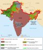 Penghijrahan semasa pembahagian India