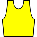 Yellow Bib of the World Cup Leader