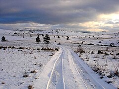 Chemin en hiver.