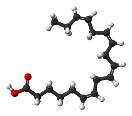 acido stearidonico 3D