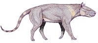 Synoplotherium vorax