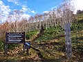 白砂山登山口