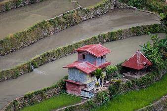 Tradicia vilaĝaj domoj en Banaue, Filipinoj