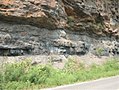 Image 3Bituminous coal seam in southwestern West Virginia (from West Virginia)