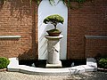 Bonsai au Missouri Botanical Garden