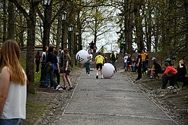 Wikiball rolling in Tartu (2024)