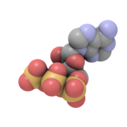 Space-filling model with hydrogen atoms omitted