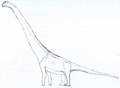 Austrosaurus