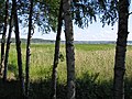 Lake Kortejärvi in Urjala