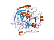 2gp9: Crystal structure of the slow form of thrombin in a self-inhibited conformation