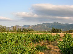 Le massif des Albères depuis la plaine côtière