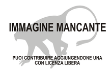 Immagine di Macaca siberu mancante