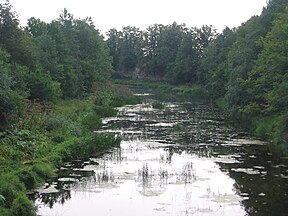 Kūkova ties Linovu