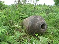 Lungzubel (rice beer container), Assam state, India