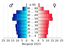 Bevolkingspiramide van de gemeente Bergeijk