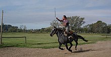 Un cavaliere moderno fa sortija