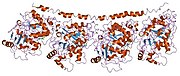 1ffx: TUBULIN:STATHMIN-LIKE DOMAIN COMPLEX