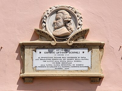 Slika:Scopoli plaque Cavalese.jpg