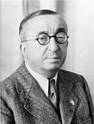 Ernst Heinkel -  Bild