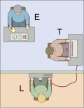 Thumbnail for Milgram experiment