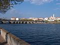 Romanic bridge on the Tua river.