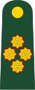 Army General