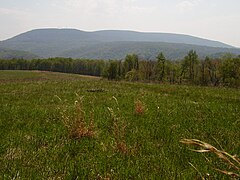 Blue Knob Mountain, Pennsylvania