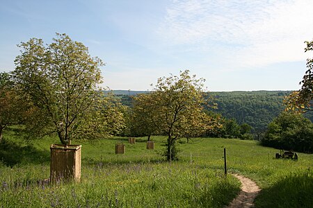 Ehrenthaler Hahn, St. Goarshausen-Ehrenthal