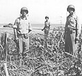 Colonel Clifton Cates (right) commander of the 1st Marine Regiment and Colonel Mike Edson (center, third from right), commander of the 5th Marine Regiment, inspect the battlefield at the mouth of the Matanikau River on Guadalcanal after the Battle for Henderson Field in late October, 1942