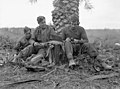 Infantrymen of The Loyal Edmonton Regiment operating a No. 18 wireless set outside Regimental Headquarters, Ortona, Italy, December 21, 1943