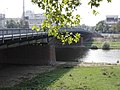 Mannheim Friedrich-Ebert-Brücke (Friedrich Ebert Bridge)