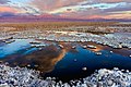 23 Salar de Atacama uploaded by Francesco Mocellin, nominated by Francesco Mocellin