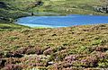 Sanabria: Laguna de los Pezes