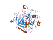 2bxu: DESIGN AND DISCOVERY OF NOVEL, POTENT THROMBIN INHIBITORS WITH A SOLUBILIZING CATIONIC P1-P2-LINKER