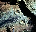 Giant dinosaur tracks (sauropod) on top of a regressive sequence, Aganane Formation, High Atlas, Morocco.