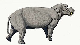 Uintatherium