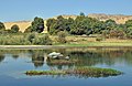 The Nile in Aswan