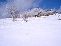 自由の広場から茶臼山