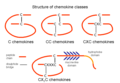 Structure of Chemokines