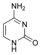 Cytosine (C)