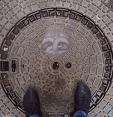 Manhole cover in Nîmes with the coat of arms of Nîmes with crocodile and palm tree]]