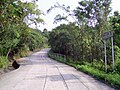 正式稱為「馬鞍山村路」