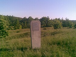 Городище с. Мітлинці. Пам'ятник.