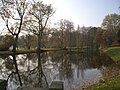 Rousseau-Insel im Schwanenteich des Landschaftsparks Althaldensleben-Hundisburg