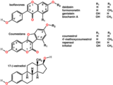 Polyphenols include phytoestrogens (top and middle)