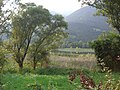 Lago di Gaiano panorama