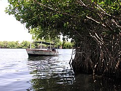 Laguna La Restinga.